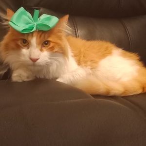 PLEASE READ DESCRIPTION ❤️❤️❤️